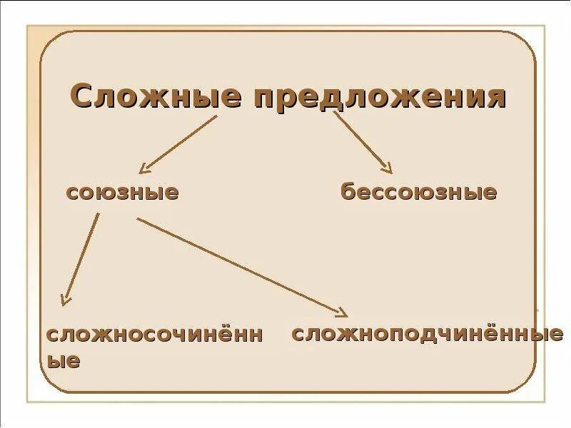 Союзные предложения бывают. Союзные и Бессоюзные предложения. Сложные союзные предложения. Союзные предложения и Бессоюзные предложения. Союзные и Бессоюзные сложные.