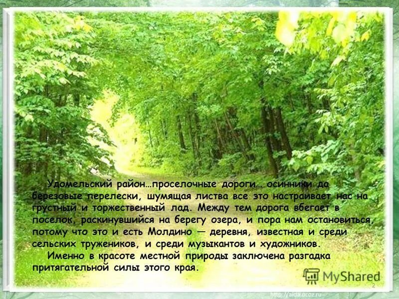 Я брожу в березовом перелеске. Стихи про Осинник. Осинник рассказ. Стихи удомельских поэтов. Дорога свернула в берёзовый перелесок мы.