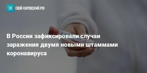 Зафиксированы случаи