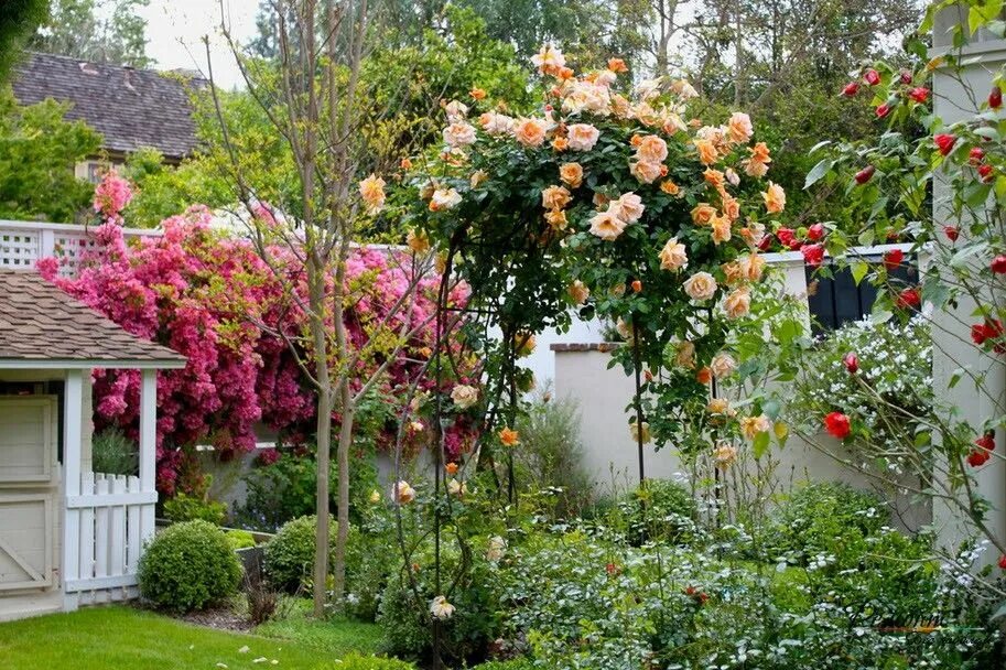 Pin on Garten und Terrasse