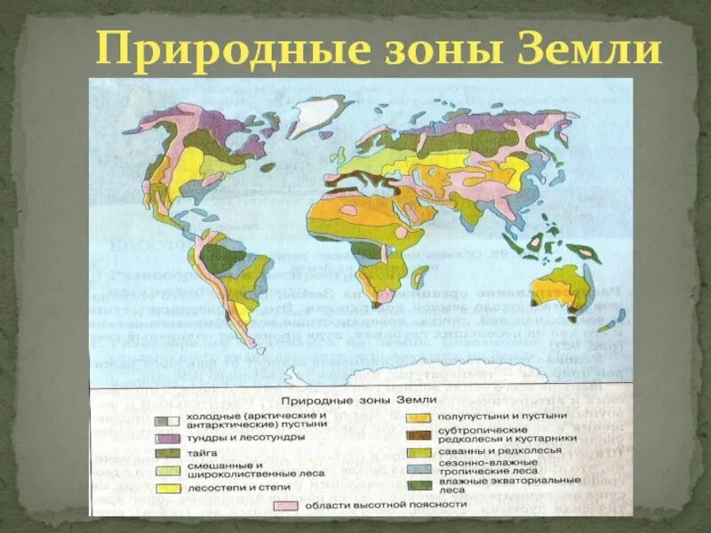 Природные зоны земли карта. Растительность природных зон земли 7 класс биология