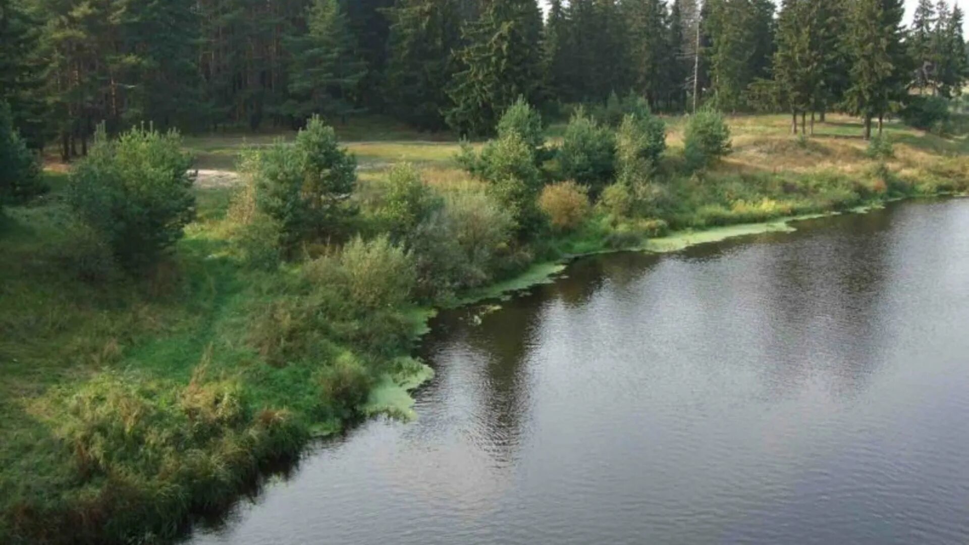 Узола река в нижегородской. Река узола ковернино. Узола река в нижегородской. Узола река в нижегородской. Река узола нижегородская область.