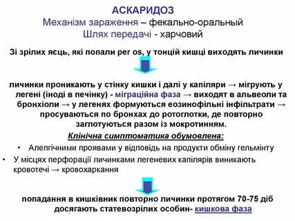 Аскаридоз пути передачи