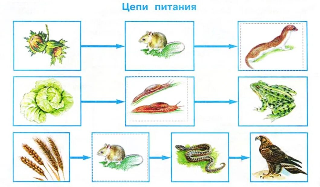 Вырежи рисунки из приложения страница