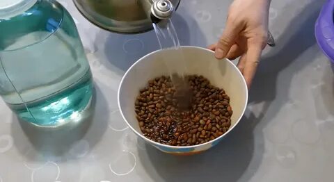 Сколько настаивать кедровые орехи