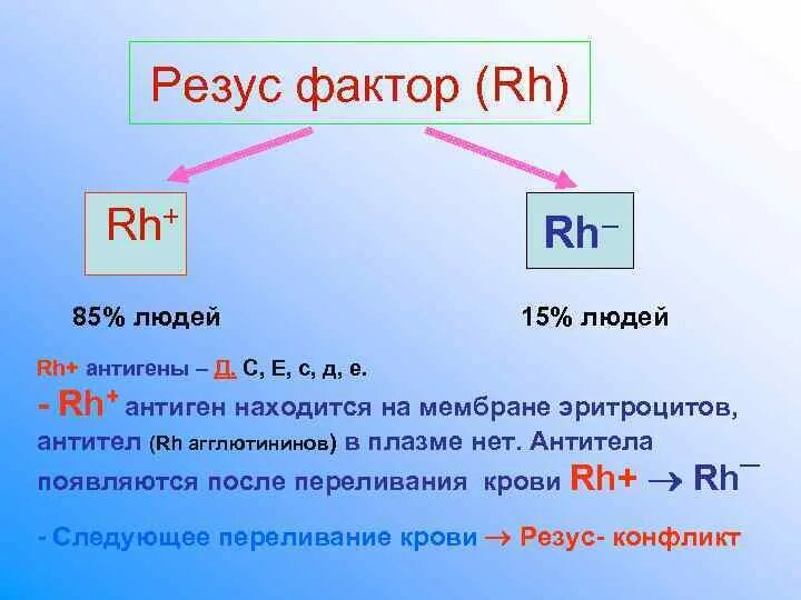 Антигенов резус rh. Резус фактор физиология. Резус фактор rh. Rh антиген находится. Резус антигены представлены на мембране эритроцитов.