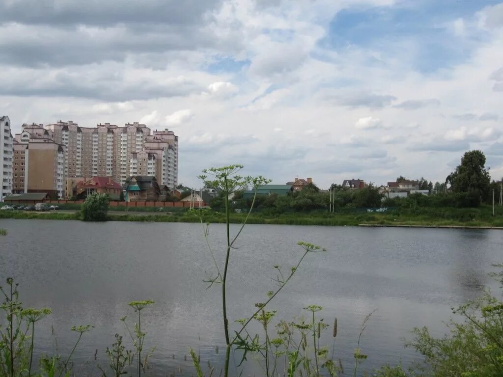 Дюссельдорфский пруд москва. Пруд развилка. Пруд развилка. Заря глазов пруды. Пруд развилка.