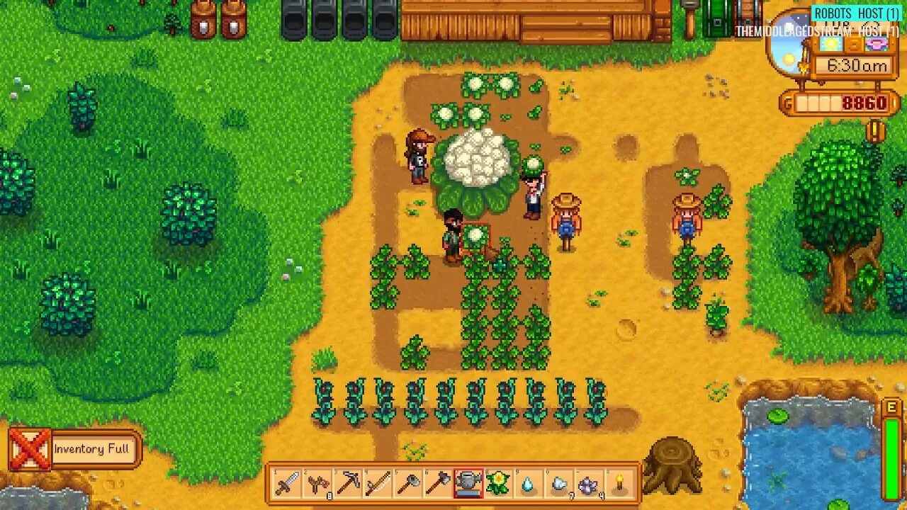 Stardew valley цветная капуста. Cauliflower stardew valley. цветная капуста stardew valley. stardew valley огромная цветная капуста. цветная капуста стардью вэлли.