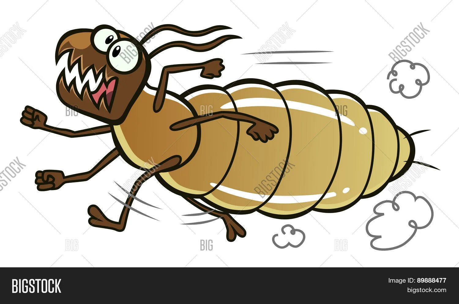 Running bug