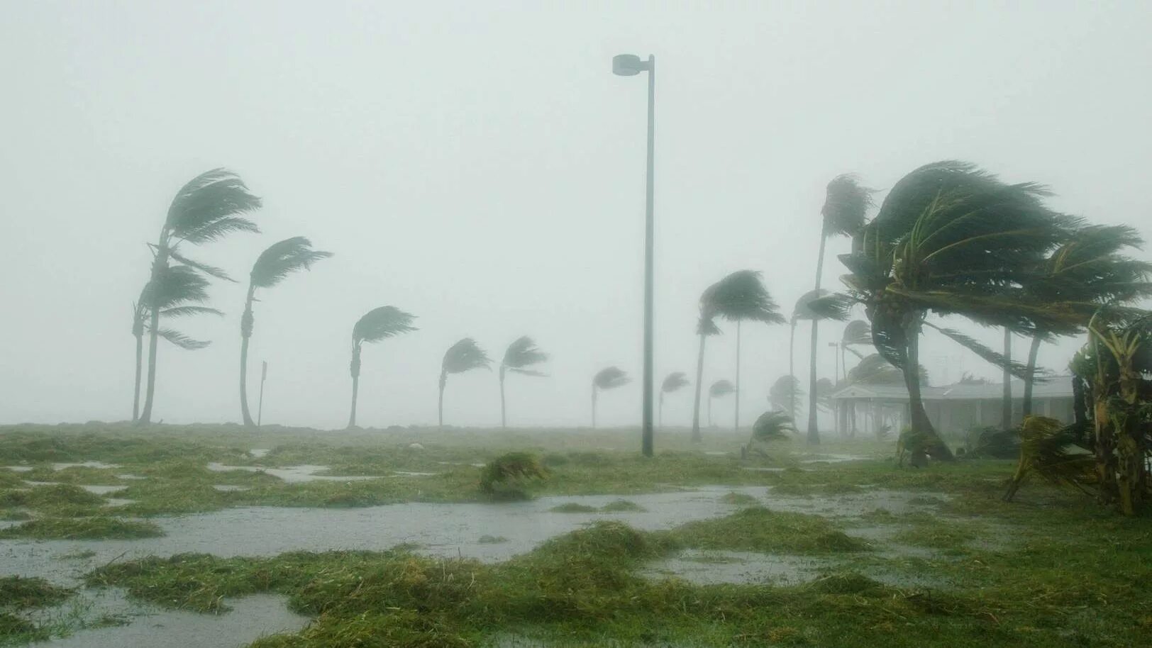Ураган в киргизии. Ураган во Флориде. Ураган во Флориде сейчас. Надвигающаяся буря. Ураган.который идет на Флориду.