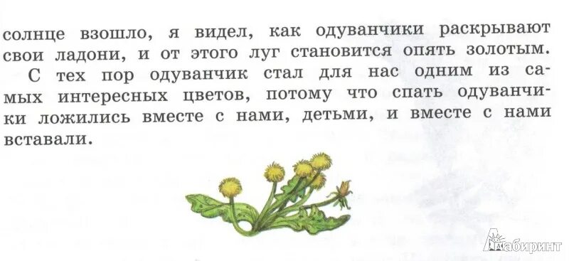 Изложение золотой луг. Сказка золотой луг. Золотой луг пришвин. Золотой луг распечатать текст