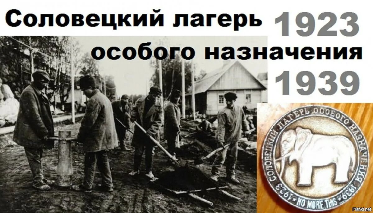 Году был проведен
