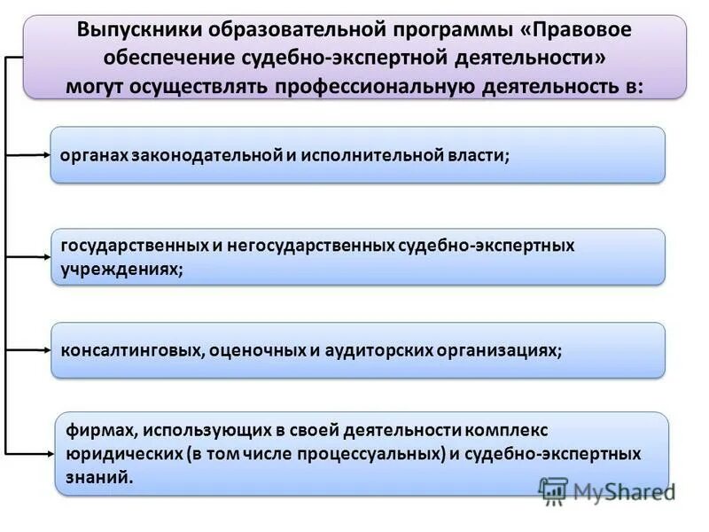 понятие и виды деятельности юриста. виды деятельности в юриспруденции. компьютерные программы для юристов. направленность профессии юриспруденция. правовая деятельность.