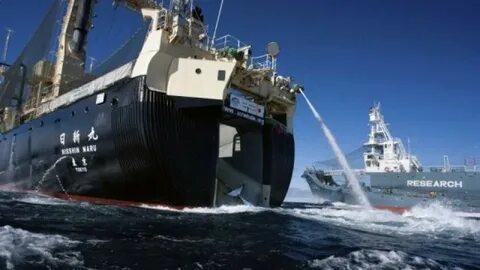 Sea article