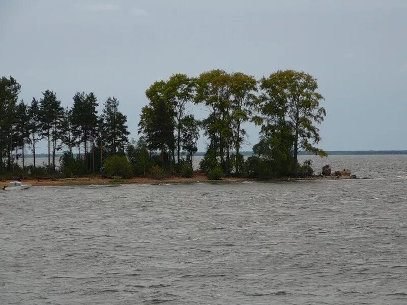 Рыбинские острова. Остров Шумаровский Рыбинское водохранилище. Юршинский остров Рыбинское водохранилище. Остров Центральный Рыбинское водохранилище. Остров Каргач Рыбинское водохранилище.