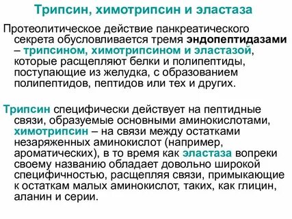 Активность трипсина