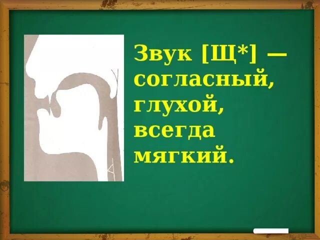 Всегда глухие. Всегда глухие звуки. Звук ш всегда глухой. Буква щ всегда глухая. Какие всегда глухие