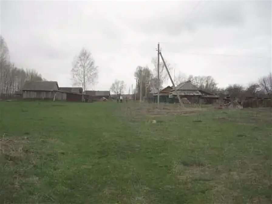 Село Гусевка Волгоградской области. Деревня Гусевка Башкирия. Деревня Гусевка Гавриловского района Тамбовской области. Гусевка Волгоградская область Ольховский район.