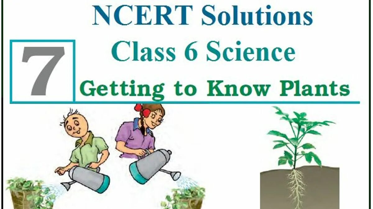 Science 6. Мулти урок туюнтма 6- класс. NCERT. What a Plant knows. Knows that plants