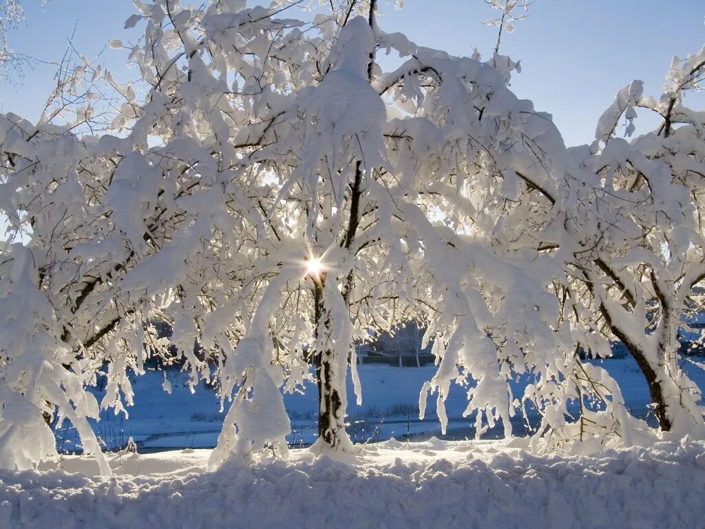 Зима. Белая зима. Белая зима. Снег в подмосковье. Зимний лес белый.