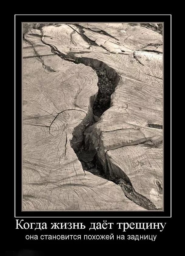 тот кто полюбит все твои трещины. влюбляются не в лица не в фигуры стих. надел штаны задом наперед. помнить все. влюбляются в натуры стих.