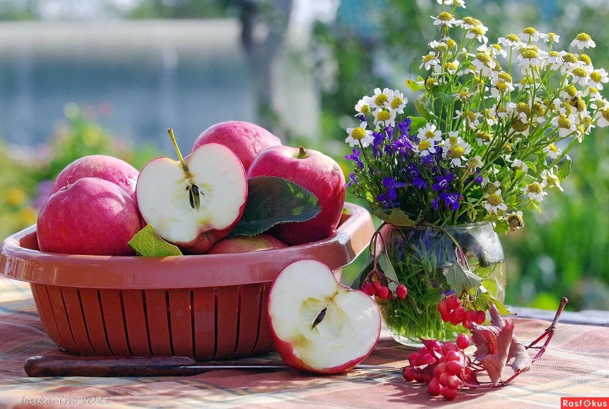 привкус лета. клубника в вазе. вкус лета. утро лето черешня. летние ягоды.