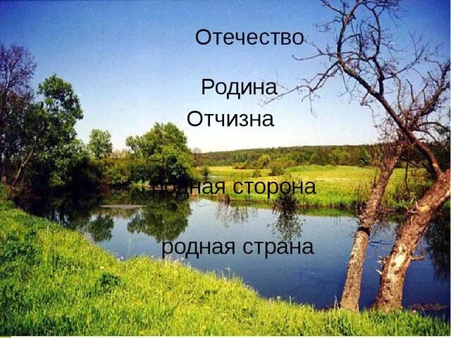 Обобщение по разделу природа. Обобщение по разделу природа