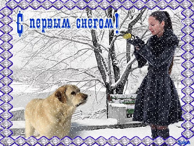Поздравление с 1 снегом. Веселые поздравления с первым снегом. С первым снегом родной. С первым снегом родной. Первый снег.