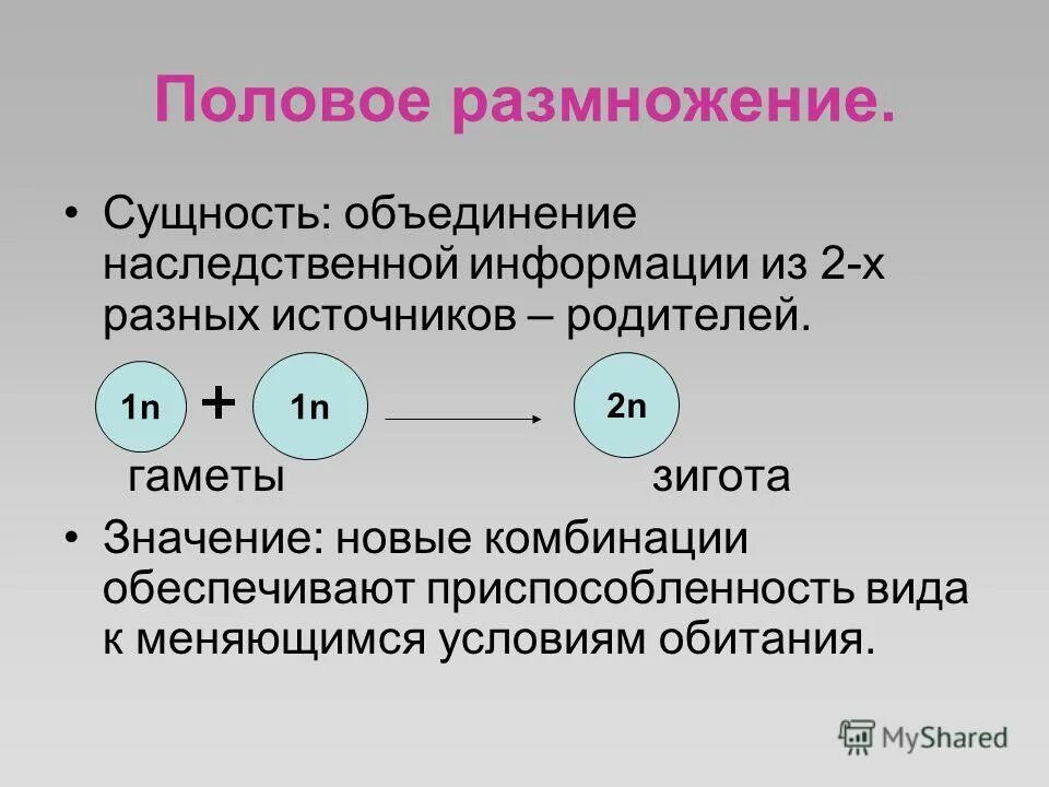 Генетический материал полового размножения