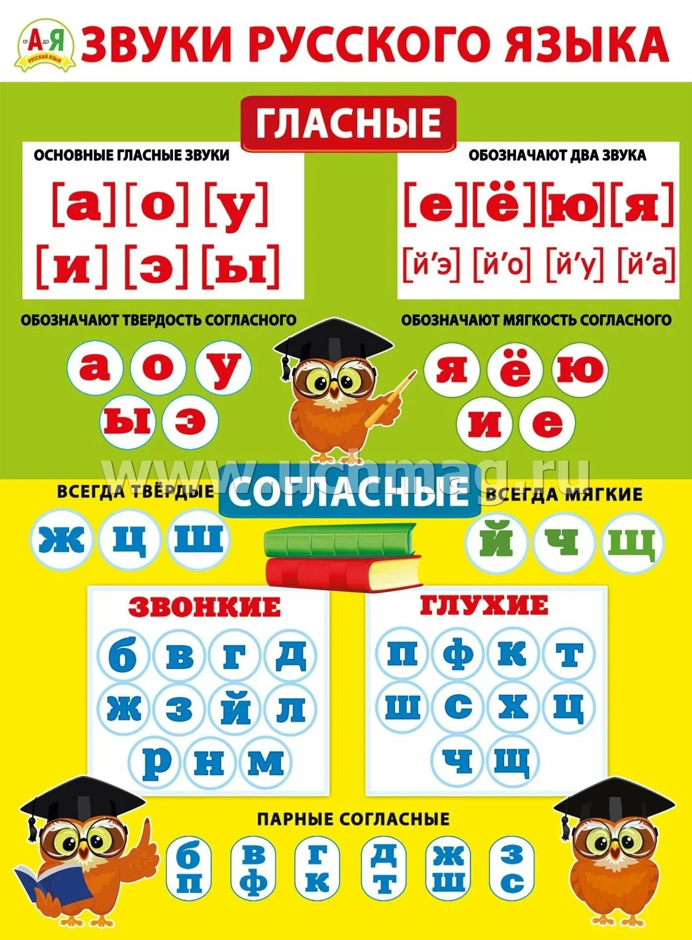 Распечатать таблицу гласных. Гласные и согласные звуки таблица для 2 класса по русскому языку. звуки гласных букв в русском языке таблица. согласные и гласные буквы в русском языке.