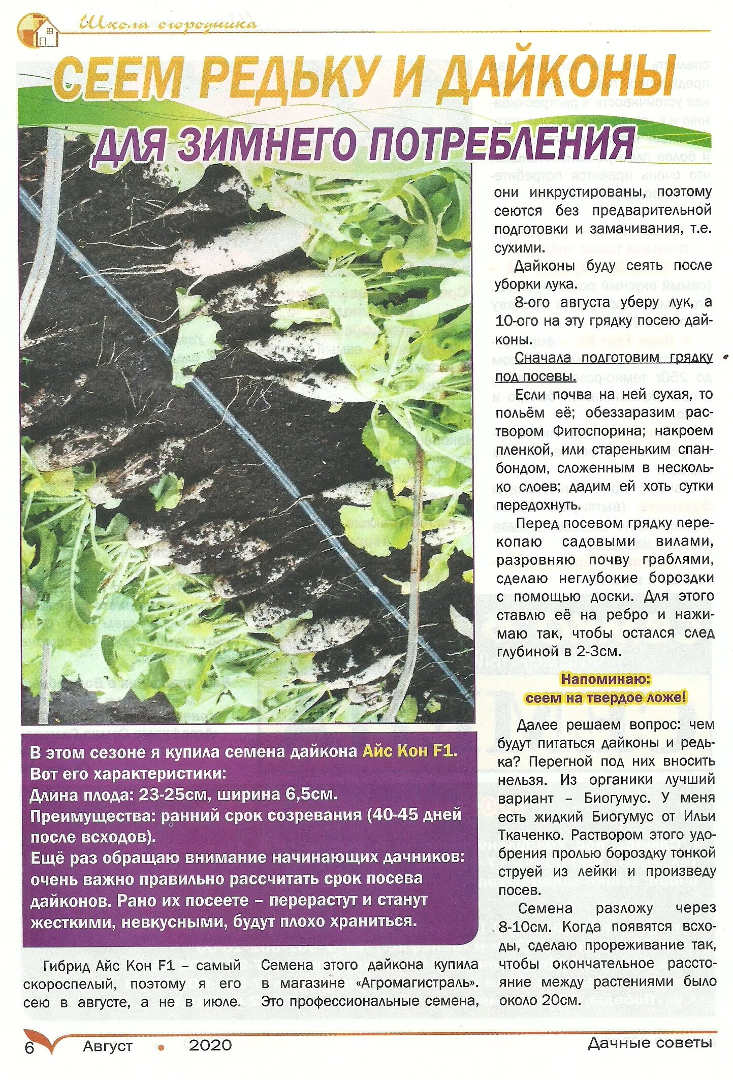 Садовые советы. Дачные советы с галиной старосельцевой. Дачный. Дачный. Старосельцева дачные советы.