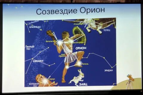 Какое созвездие названо по имени охотника
