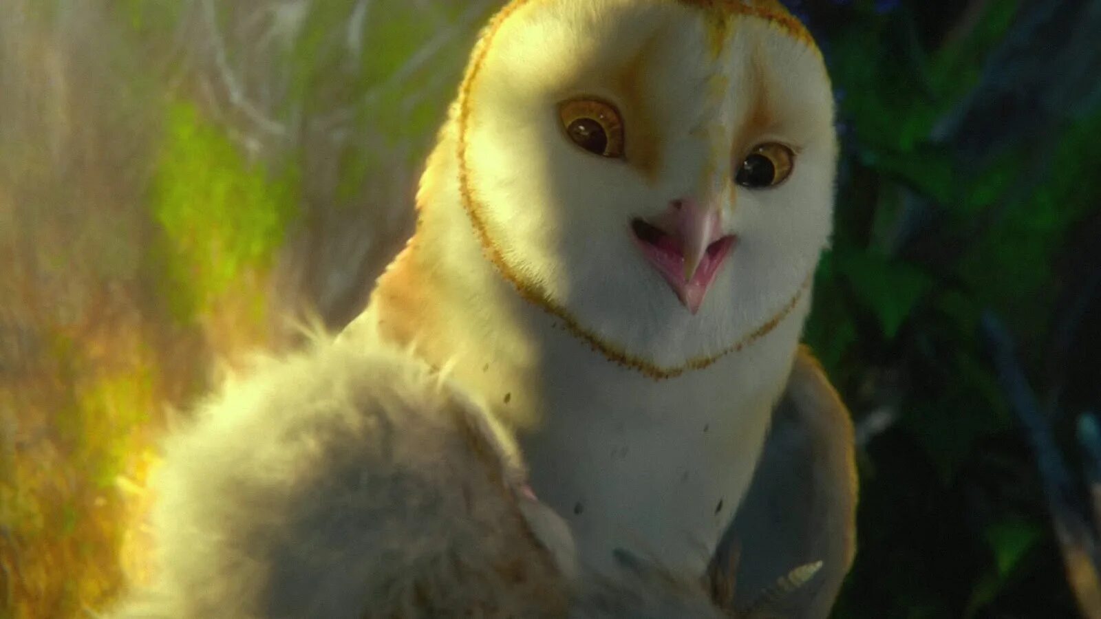 Ga hoole guardians the owls legend. Легенды ночных стражей мультфильм 2010. Легенды ночных стражей Сорен. Гильфи ночные Стражи. Сорен и Гильфи.