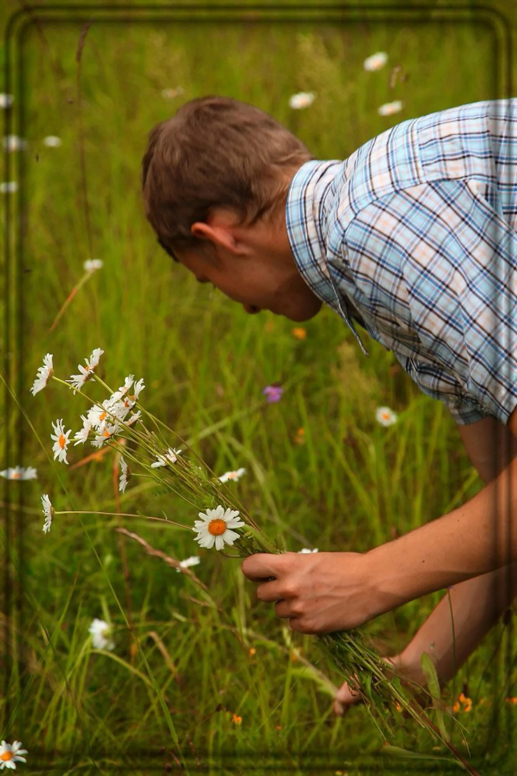 Сорванные цветы. Поле ромашек. Мужчина с букетом полевых цветов. Парень с ромашками. Парень с полевыми цветами.