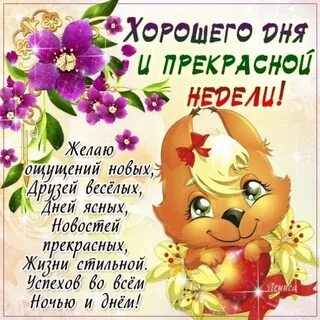 Пожелание хорошего дня короткие смс