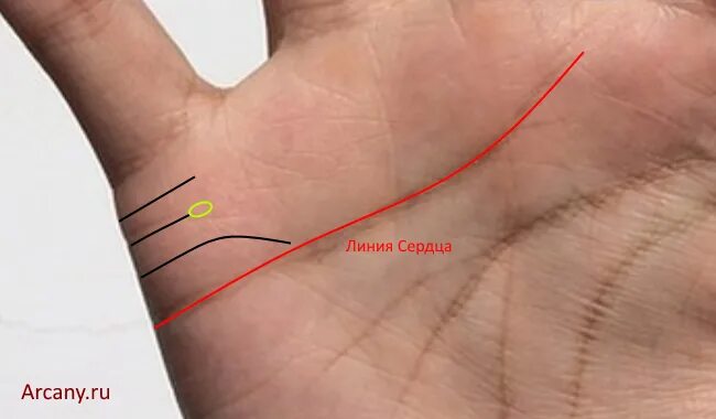 Сколько будет замужеств. Линия брака. Линия детей на ладони. Линия замужества на руке. Линия брака линия вдовства.