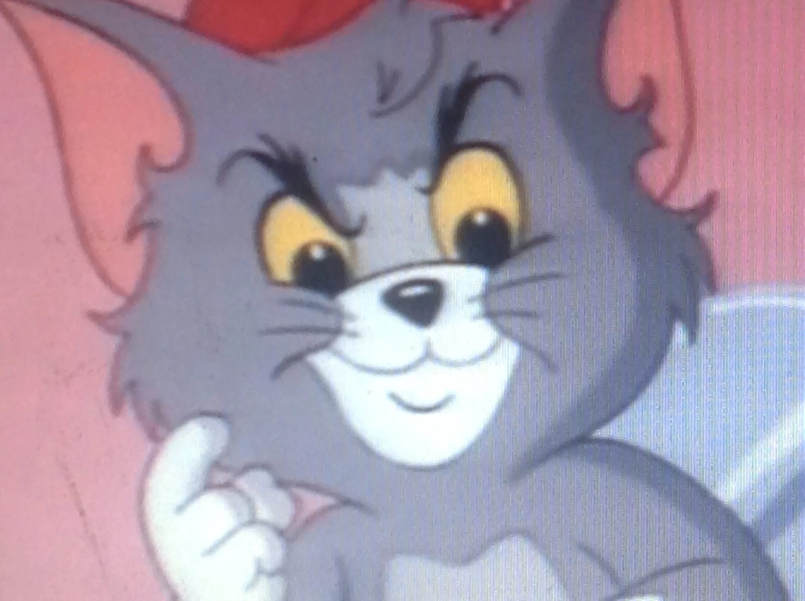 Talking tom cat 2. Talking tom 2010. Стикеры джерри для телеграмм. Talking tom. Простой том вики.