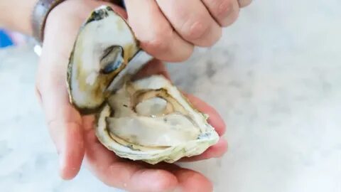 Вкус устриц