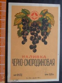 Дождевая наливка 4 буквы