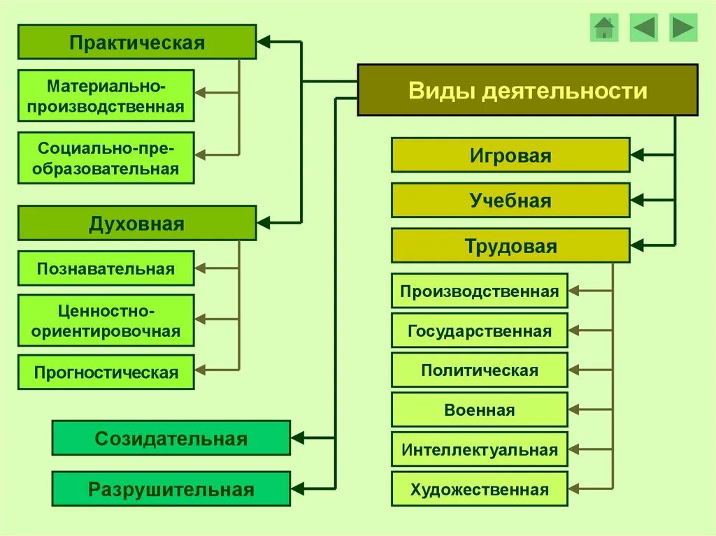 Типы деятельности Обществознание 10 класс. Виды деятельности. Виды деятельности в обществознании. Виды деятельности человека. Примеры основных видов деятельности