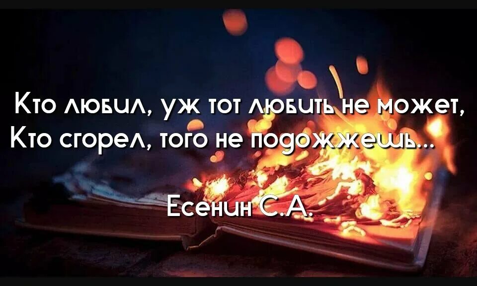 А может этот. Ты меня не любишь не жалеешь. Есенин ты меня не любишь не жалеешь стих. Стих Есенина ты меня не любишь не жалеешь. Стихи Есенина ты меня любишь не жалеешь.