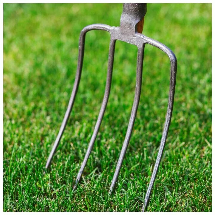 Сотка б. Бумага туалетная сотка 100 метров. Т-4 бомбардировщик. Сотка б. Сотка б.