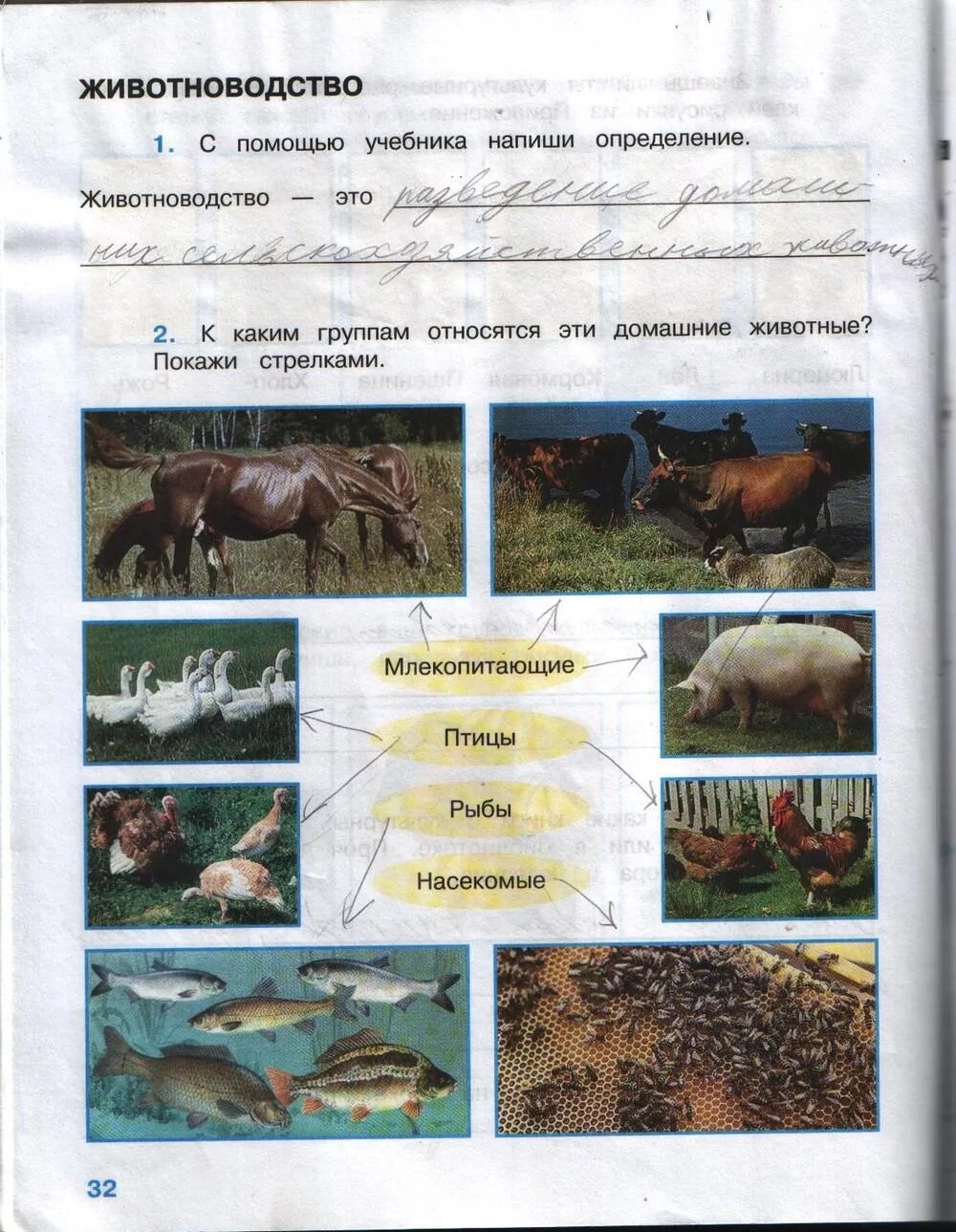 Окр мир 4 класс тетрадь стр 34. Окружающий мир 3 класс рабочая тетрадь 2 часть стр 34. Окружающий мир 3 класс рабочая тетрадь ответы Плешаков стр 34 номер 4. Окружающий мир 3 класс рабочая тетрадь Плешаков стр 32. Окружающий мир 3 класс рабочая тетрадь стр 32 номер 4 ответы.