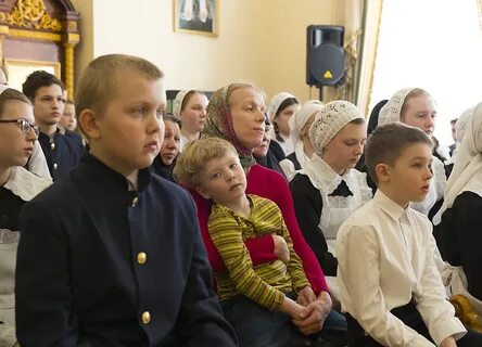 Плесково журнал