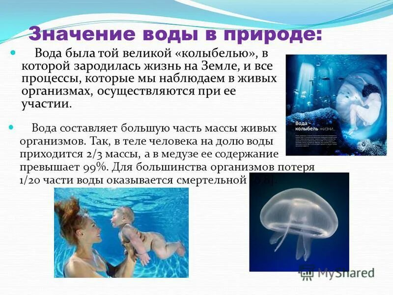 Какое значение имеет вода для организма. Значение воды в природе. роль воды в живой природе. важность воды для всего живого на земле. значение воды для живой природы.