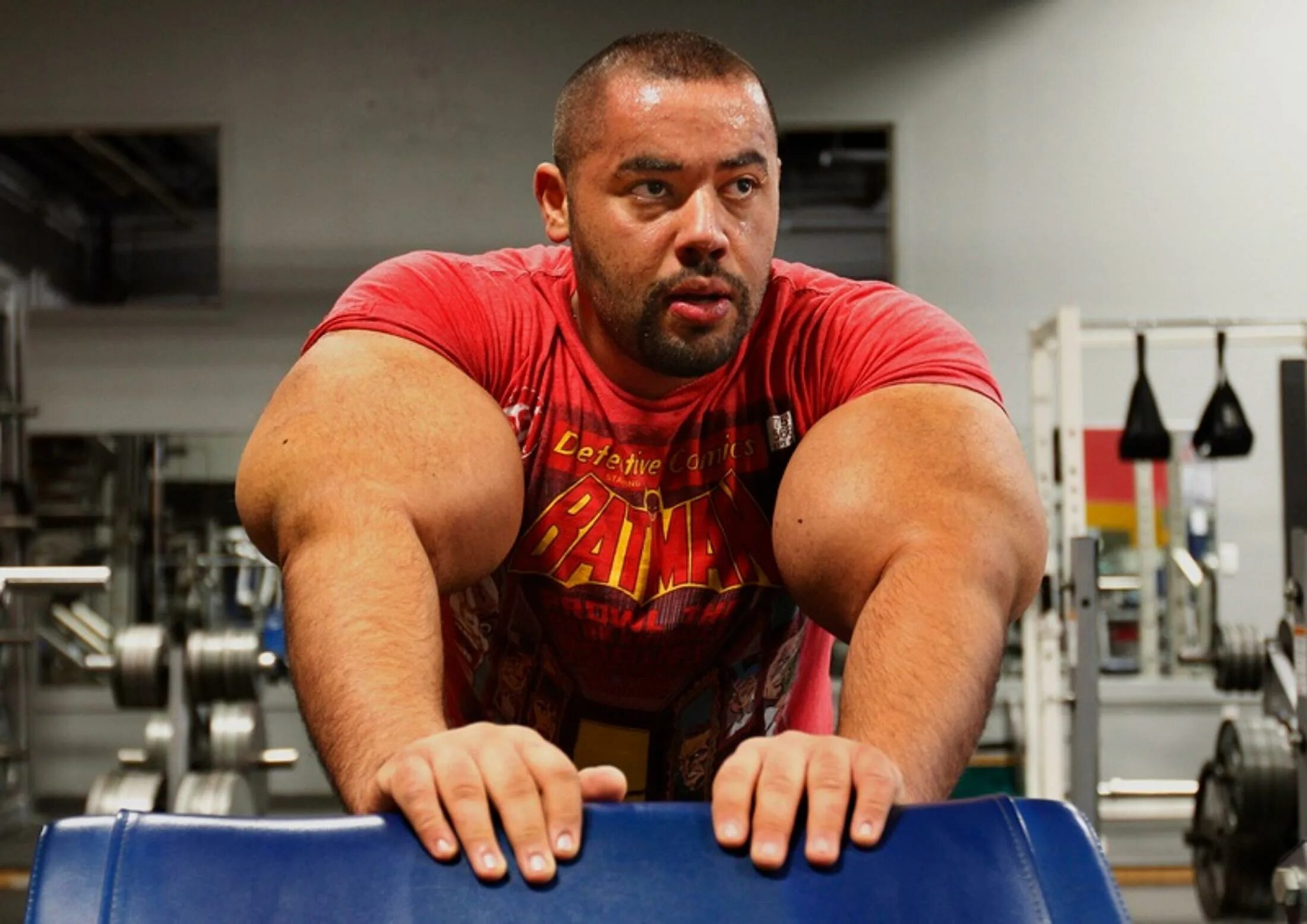 мустафа исмаил бицепс. само мощный. само мощный. синтол ромарио дос сантос. сабвуфер deaf bonce db-832neo.