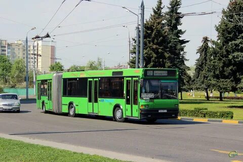 11 автобус гомель