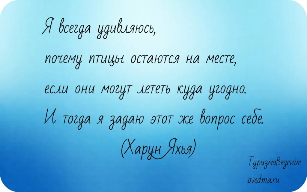 Слово великое путешествие. Цитаты про путешествия. Высказывания великих людей о путешествиях. Высказывания известных людей о путешествиях. Путешествие цитаты и афоризмы.