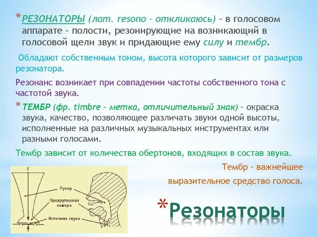 Значение слова звук. Резонаторы голосового аппарата. Грудной и головной резонаторы в пении. Резонаторная система голосового аппарата. Резонатор это в Музыке.