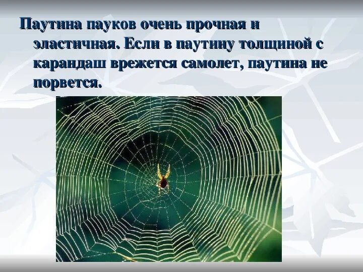 Используй паутину